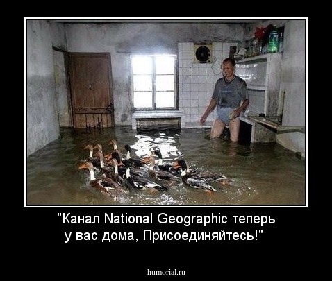 "Канал National Geographic теперь у вас дома, Присоединяйтесь!" 