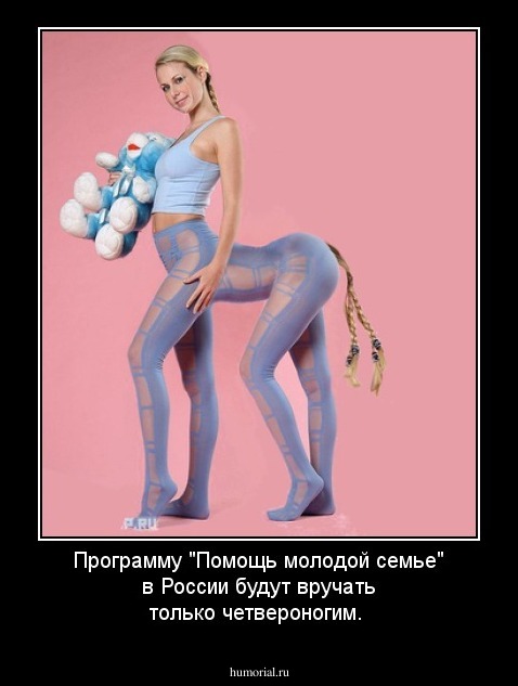 Программу "Помощь молодой семье" в России будут вручать только четвероногим.