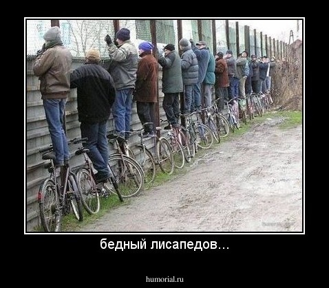 бедный лисапедов...