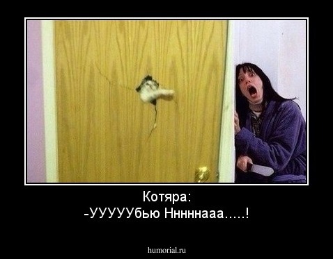 Котяра:
-УУУУУбью Нннннааа.....!