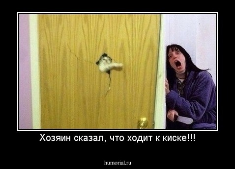 Хозяин сказал, что ходит к киске!!!