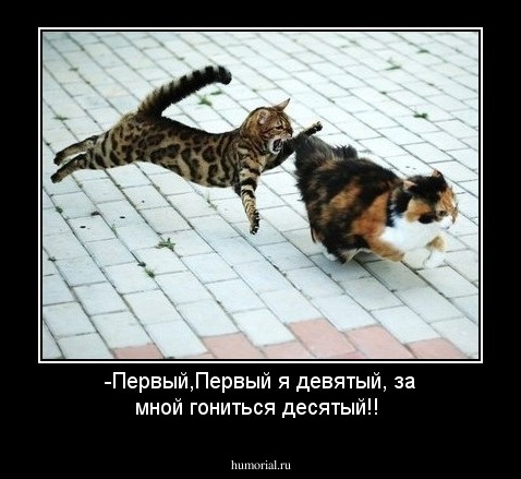 -Первый,Первый я девятый, за мной гониться десятый!!