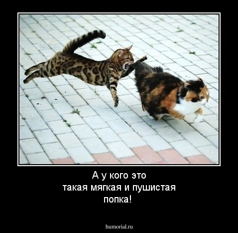 А у кого это такая мягкая и пушистая попка!