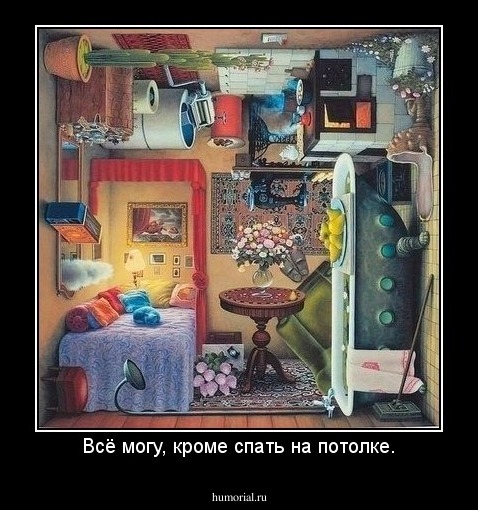 Всё могу, кроме спать на потолке.