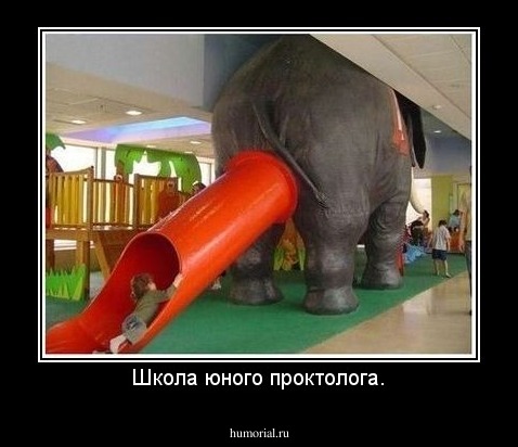 Школа юного проктолога.