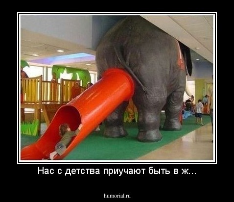 Нас с детства приучают быть в ж...