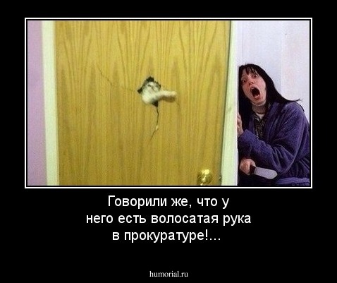 Говорили же, что у него есть волосатая рука в прокуратуре!...