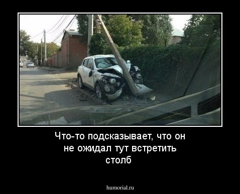 Что-то подсказывает, что он не ожидал тут встретить столб
