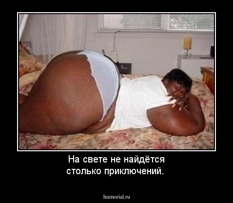 На свете не найдётся столько приключений.  