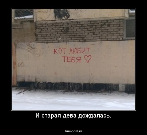 И старая дева дождалась.