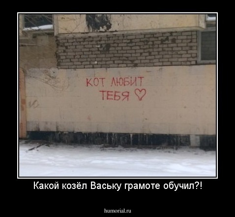 Какой козёл Ваську грамоте обучил?!