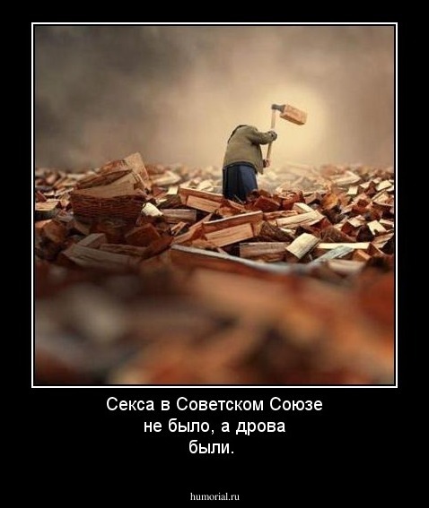 Секса в Советском Союзе не было, а дрова были.