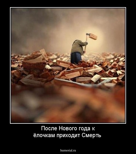 После Нового года к ёлочкам приходит Смерть