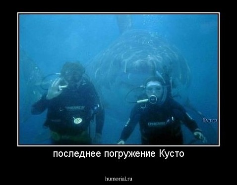 последнее погружение Кусто