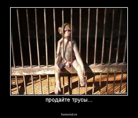 продайте трусы...