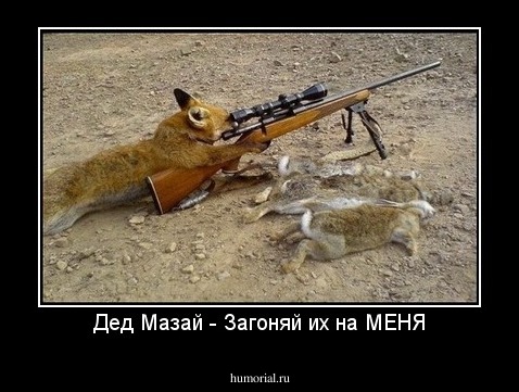 Дед Мазай - Загоняй их на МЕНЯ