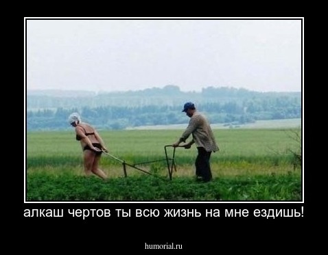 алкаш чертов ты всю жизнь на мне ездишь!