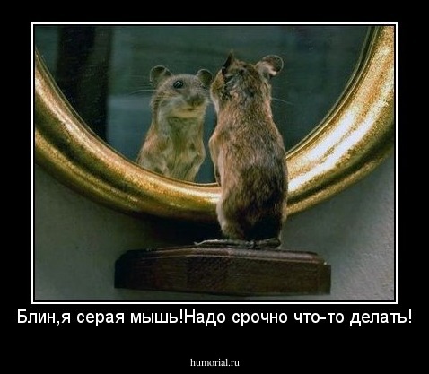Блин,я серая мышь!Надо срочно что-то делать!