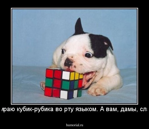 Собираю кубик-рубика во рту языком. А вам, дамы, слабо?
