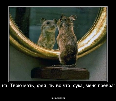 Золушка: Твою мать, фея, ты во что, сука, меня превратила!!!