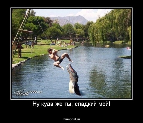 Ну куда же ты, сладкий мой!