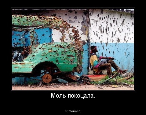 Моль покоцала.