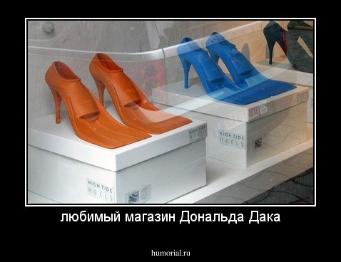 любимый магазин Дональда Дака
