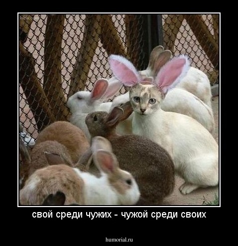свой среди чужих - чужой среди своих