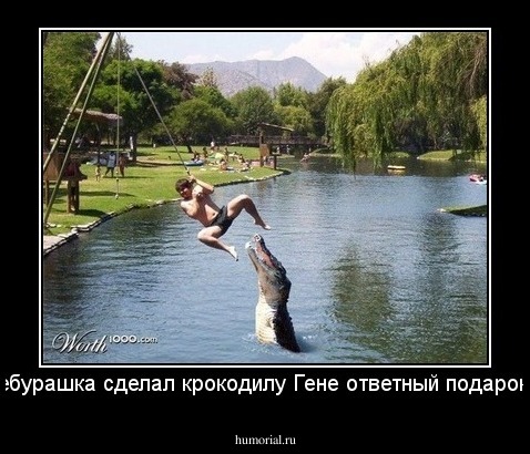 Чебурашка сделал крокодилу Гене ответный подарок...