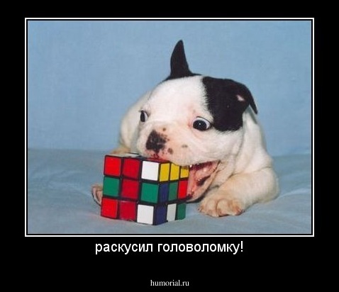 раскусил головоломку!