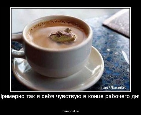 Примерно так я себя чувствую в конце рабочего дня!