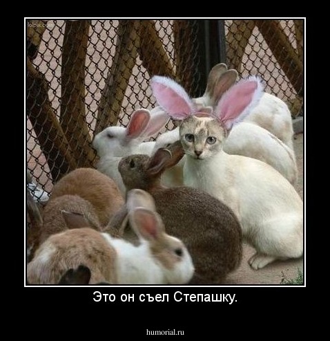 Это он съел Степашку.