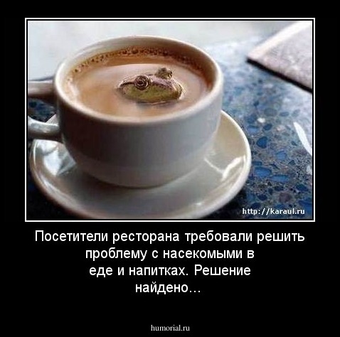 Посетители ресторана требовали решить проблему с насекомыми в еде и напитках. Решение найдено...