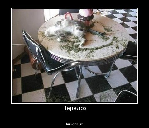 Передоз
