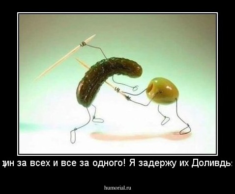 Один за всех и все за одного! Я задержу их Доливдьян!