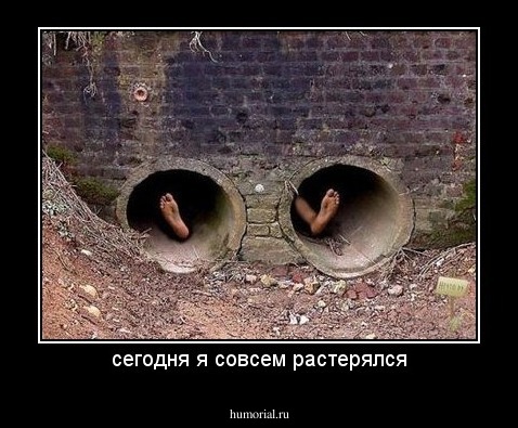 сегодня я совсем растерялся