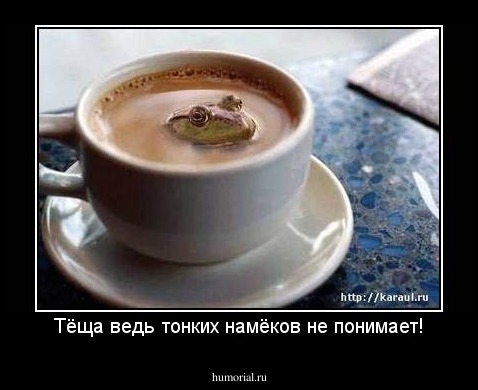 Тёща ведь тонких намёков не понимает!