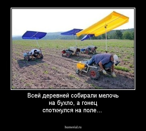 Всей деревней собирали мелочь на бухло, а гонец споткнулся на поле...