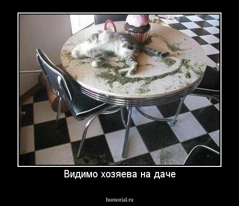 Видимо хозяева на даче