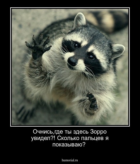 Очнись,где ты здесь Зорро увидел?! Сколько пальцев я показываю?