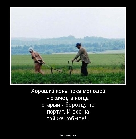 Хороший конь пока молодой - скачет, а когда старый - борозду не портит. И всё на той же кобыле!.
