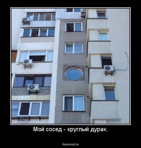 Мой сосед - круглый дурак.