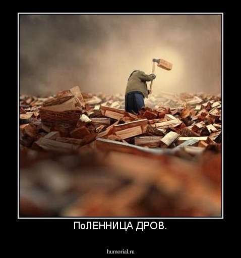 ПоЛЕННИЦА ДРОВ.