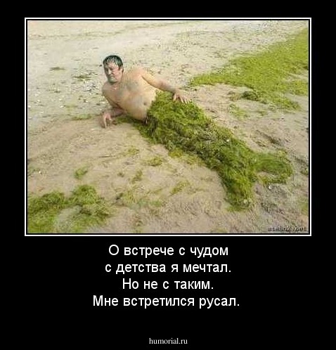 О встрече с чудом с детства я мечтал.
Но не с таким. Мне встретился русал.