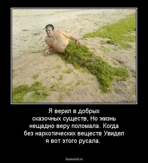 Я верил в добрых сказочных существ,
Но жизнь нещадно веру поломала.
Когда без наркотических веществ
Увидел я вот этого русала.