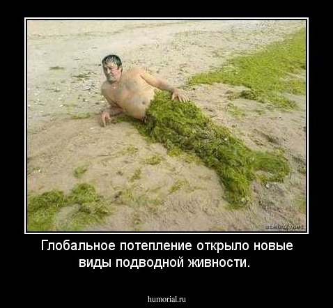 Глобальное потепление открыло новые виды подводной живности.