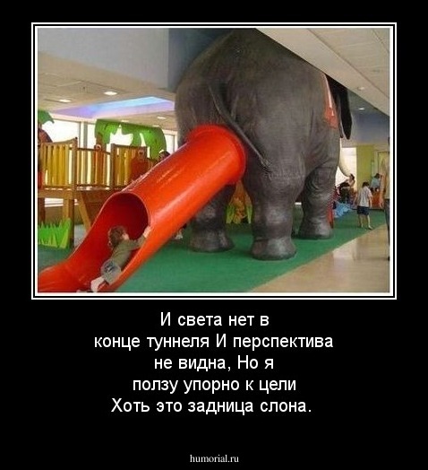 И света нет в конце туннеля 
И перспектива не видна,
Но я ползу упорно к цели
Хоть это задница слона.