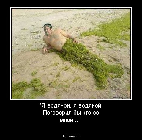 "Я водяной, я водяной. Поговорил бы кто со мной..."