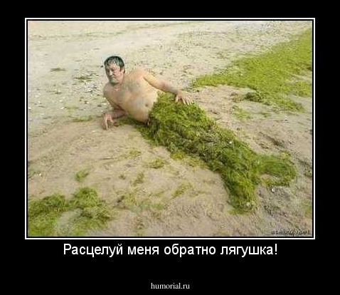 Расцелуй меня обратно лягушка!
