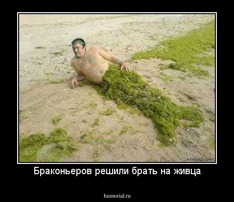 Браконьеров решили брать на живца